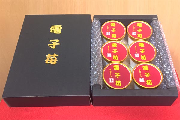 摘みたて電子苺のジェラート | 奈良県の電子苺産直農家 東田農園